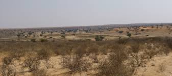 parc-transfrontalier-du-kgalagadi